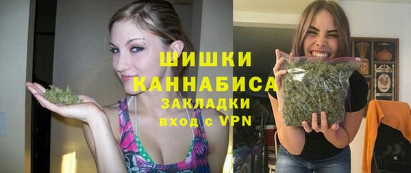 прущие грибы Мегион