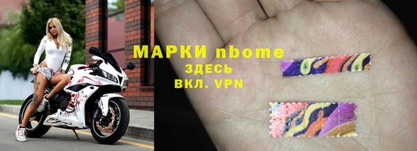 прущие грибы Мегион