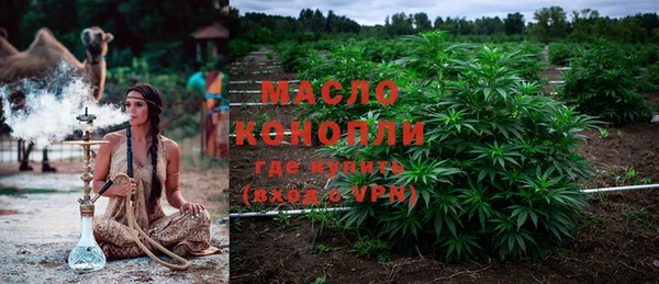 прущие грибы Мегион