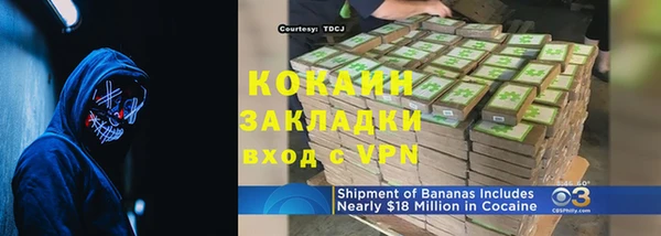 прущие грибы Мегион
