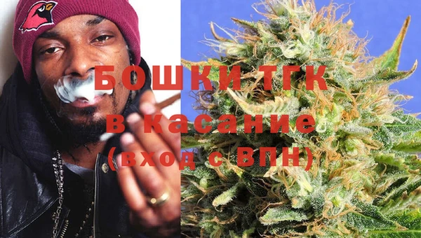 прущие грибы Мегион