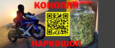 соль курить ск Кингисепп