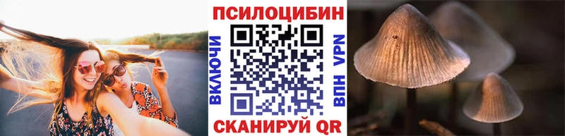 Галлюциногенные грибы прущие грибы  ОМГ ОМГ ТОР  Чайковский 