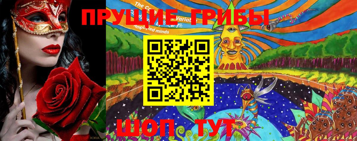 Псилоцибиновые грибы мухоморы  Чайковский 