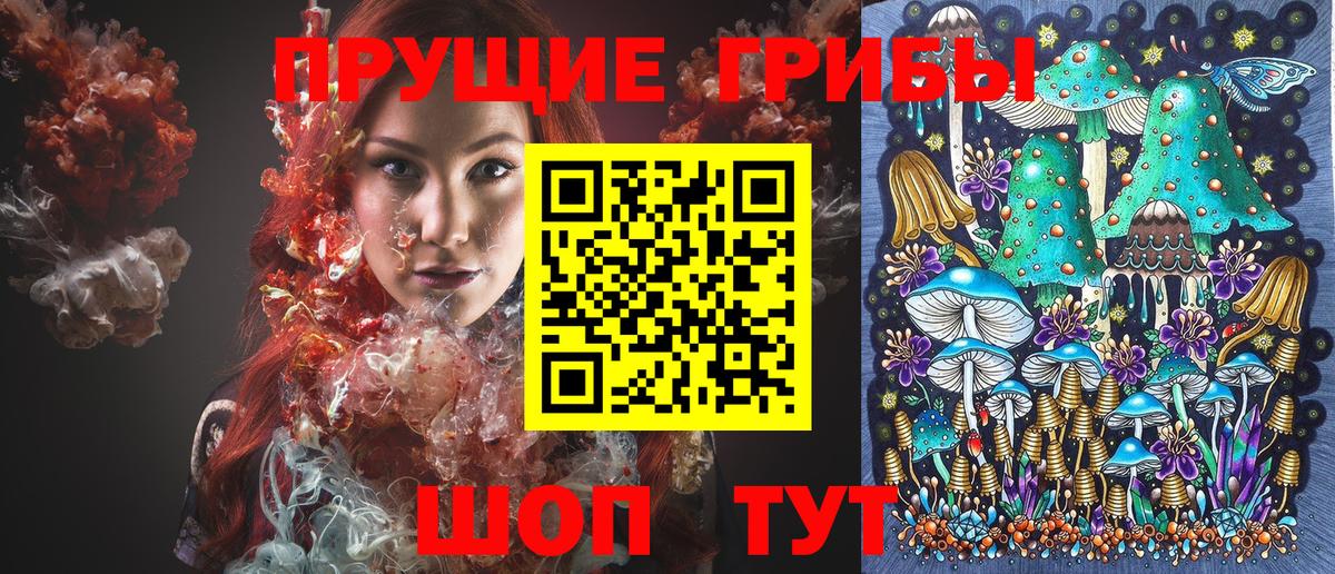 Чайковский  Псилоцибиновые грибы Magic Shrooms  Вход с VPN 