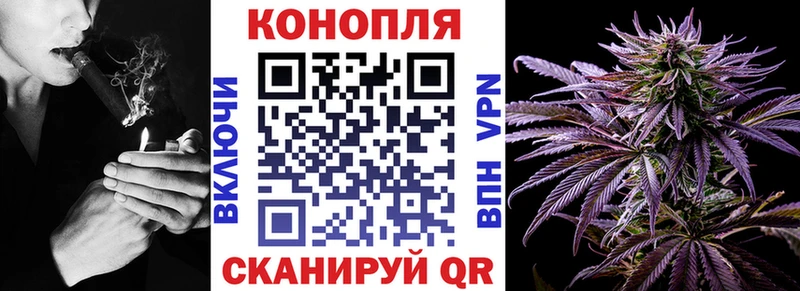 блэк спрут вход  Чайковский  Бошки марихуана марихуана 
