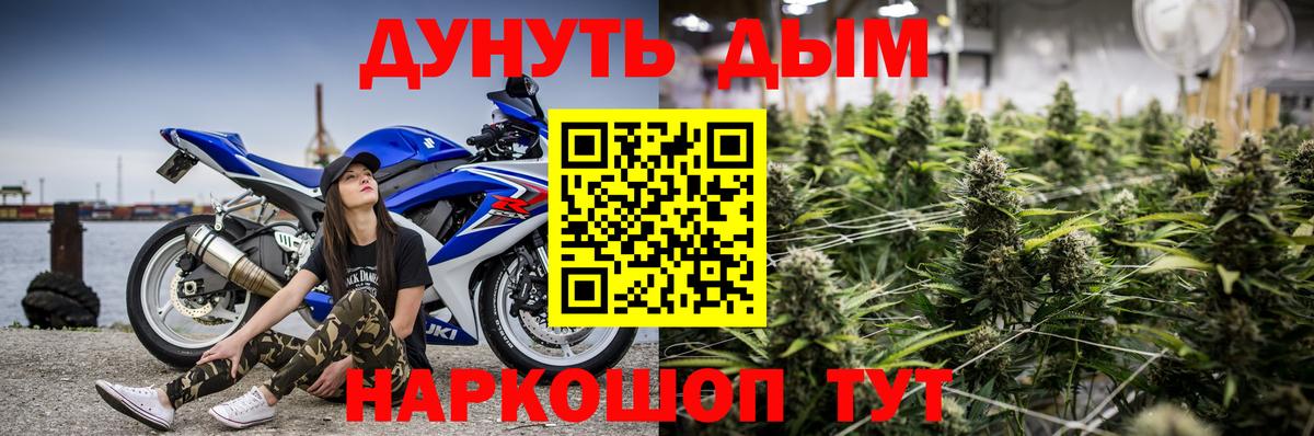 Чайковский  Каннабис индика  МАРИХУАНА MAZAR  Вход с VPN  Канабис тримм 